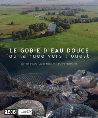 Affiche Le Gobie d'eau douce