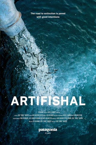 affiche Artifishal