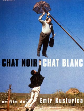 affiche Chat noir, chat blanc