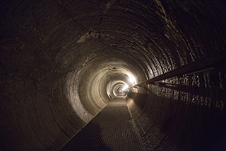 visuel Dans les entrailles de la bête