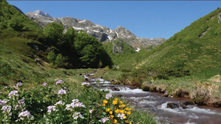 extrait La Rivière