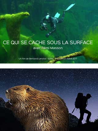 affiches ce qui se cache sous la surface et nos amis sauvages #1