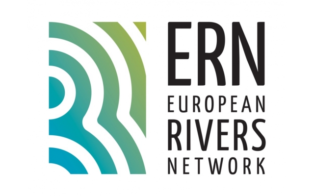 logo ERN web